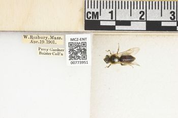 Media type: image;   Entomology 773951 Aspect: Labels